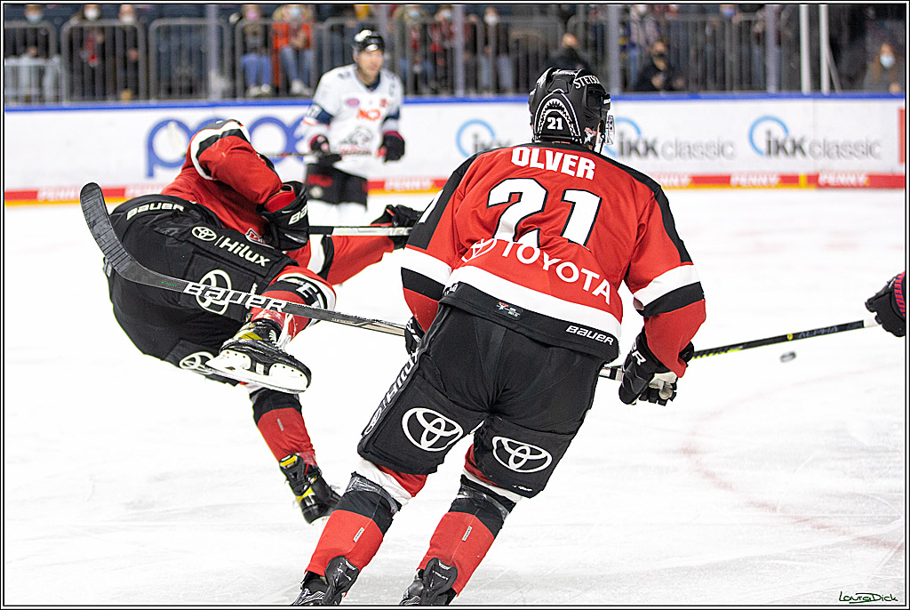 PENNY DEL; Koelner Haie- Nuernberg Ice Tigers; Koeln, 03.12.2021